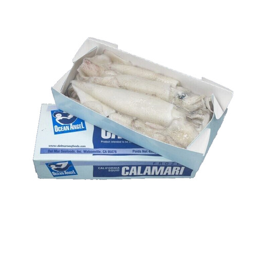 1lb box calimari squid - squid,