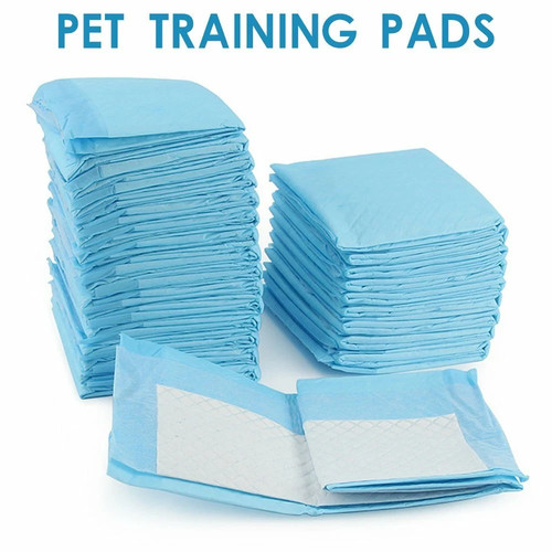 Disposable pet puppy - disposable, pads