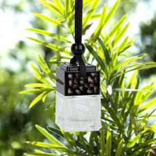 50X Car Empty Perfume Hanging