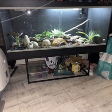 Vivexotic aal vivarium - vivarium,