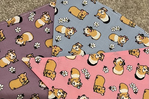 Guinea pigs bunting hand - guinea,