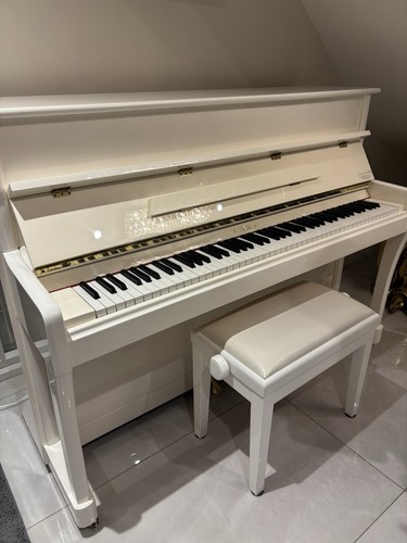 Ritter upright acoustic - upright,
