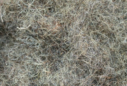 Upholstery filling horse hair - upholstery,