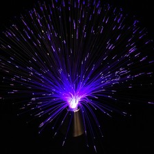 LED Fiber Optic Light Starry