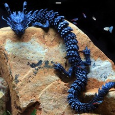 Chinese Dragon Aquarium