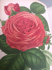 The Gardener's Assistant 1878