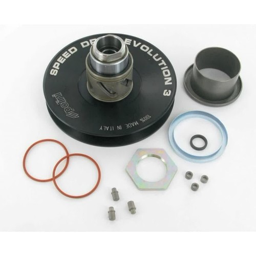 Polini evolution driven - 3,