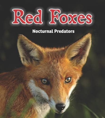 Red foxes nocturnal - red, predators