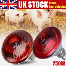 INFRA RED HEAT BULB LAMP 250W