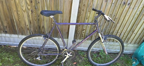 Classic raleigh activator and - classic,