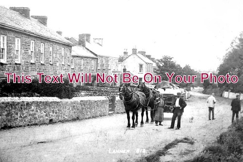 1863 lanner cornwall - 1863, lanner,