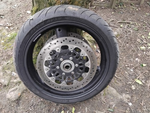 Triumph 955i t595 - triumph,