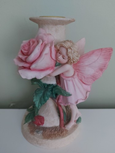 Rare flower fairies the rose - -,