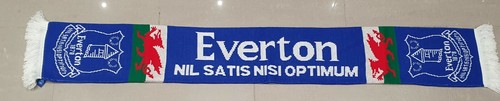 Everton official wales - everton,