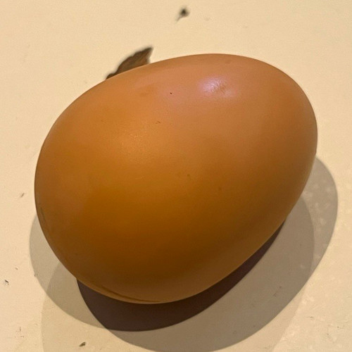 Bouncy egg