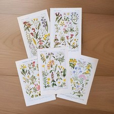 Set of Vintage 1950s British