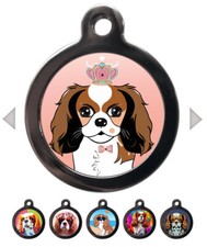 King Charles Spaniel Breed Pet