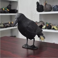 Life size crow decoy - life,