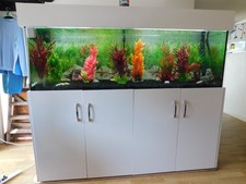 REDUCED BY £150.00 QUID 6ft x 2 ft  x 2 ft fish tanK OR REPTILE TANK HUGHESY 909