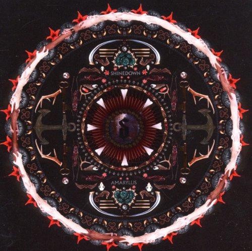 Amaryllis shinedown - amaryllis,