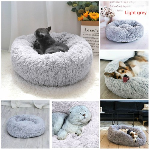 Grey dog cat calming - dog,