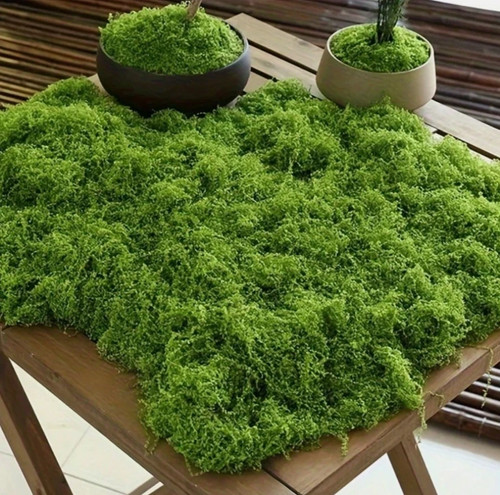 100g artificial moss - 50/100g,