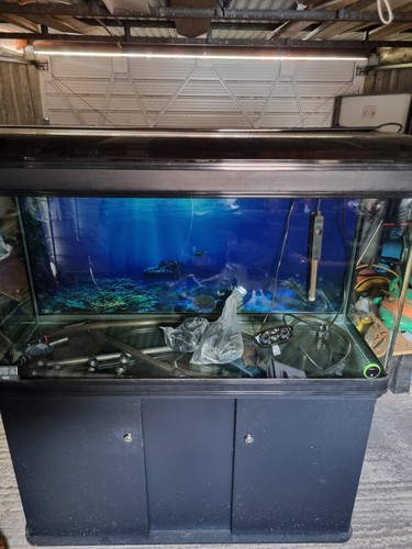 4ft 300 litre fish tank - , with