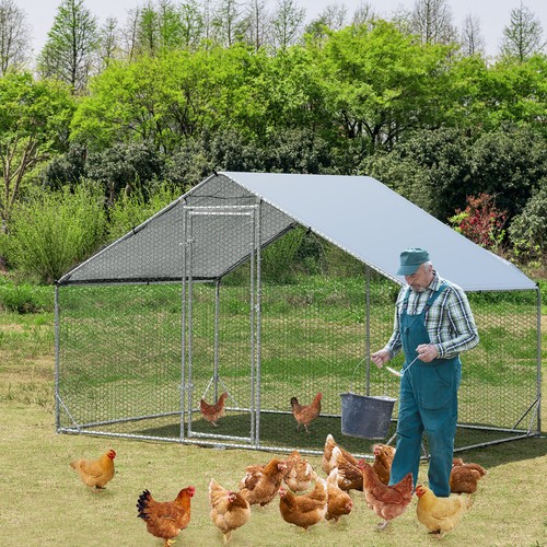 Large chicken run walk - run, in