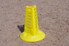 Mini Show Jump Wings. Pair