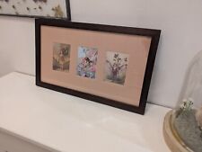 Art: Cecily Mary Barker. Flower Fairies. Framed vintage picture art