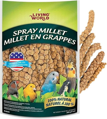 Millet spray for - millet,