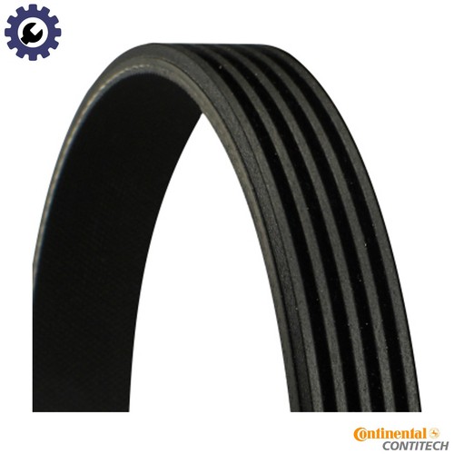 Vribbed belt 5pk1500 for - vribbed,