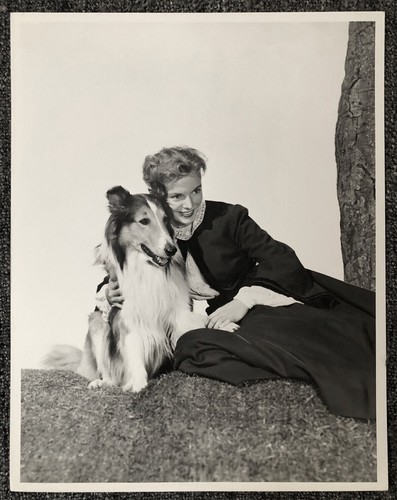 Lassie 1948 hills home - lassie,