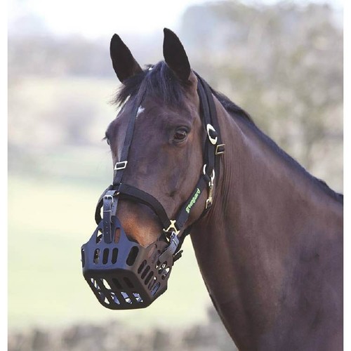 Shires greenguard headcollar - shires,