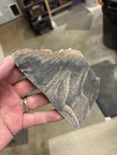 Petrified Wood Heat Treated