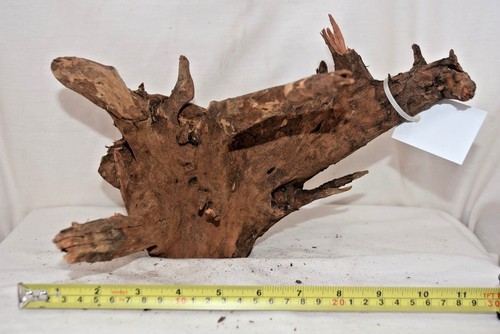 W20 aquarium wood tree - -,