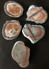 Rough Rock Mineral  of Grey Agate nodule pieces x 5