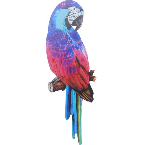 Iron parrot wall - iron,