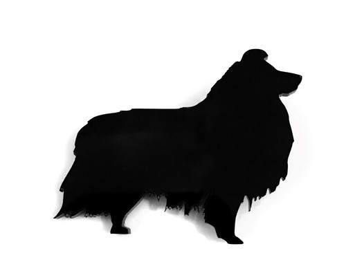 Sheltie shetland sheep - sheep, dog