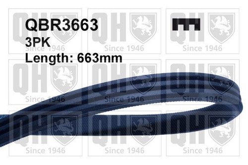 Genuine drive serpentine - genuine,
