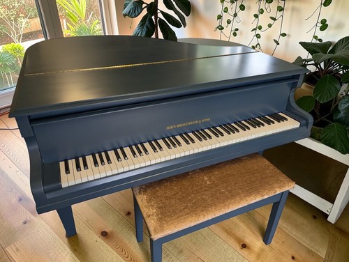 Super small broadwood - super,