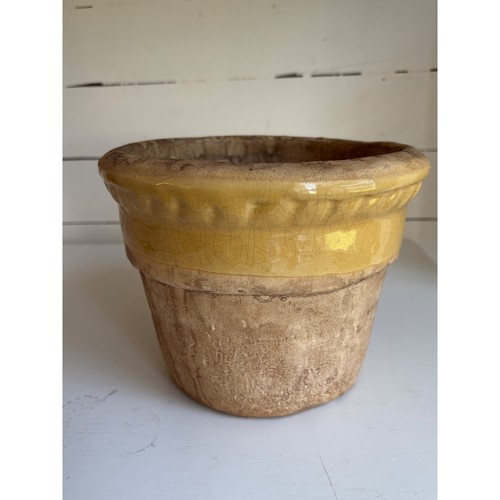 Rpw planter flower pot yellow - flower,