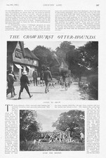 SUSSEX Meet of the Crowhurst