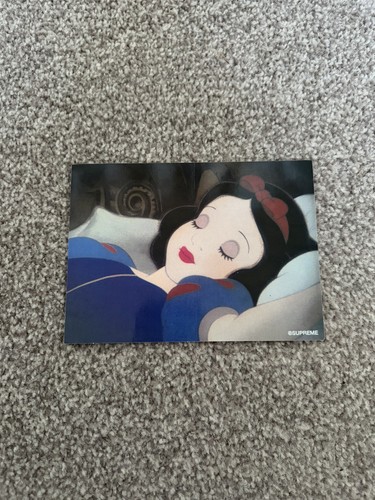 Supreme fw24 snow white - supreme,