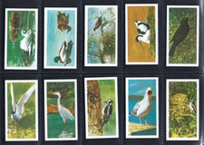 BROOKE BOND - BRITISH BIRDS -