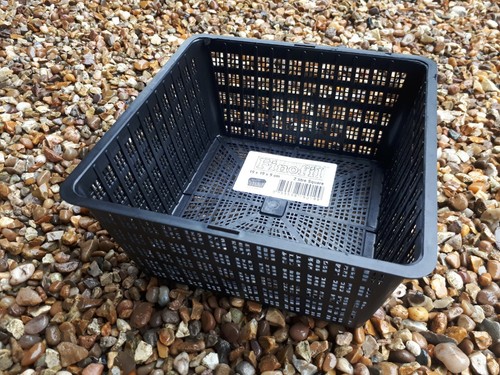 19cm square aquatic - 19cm,