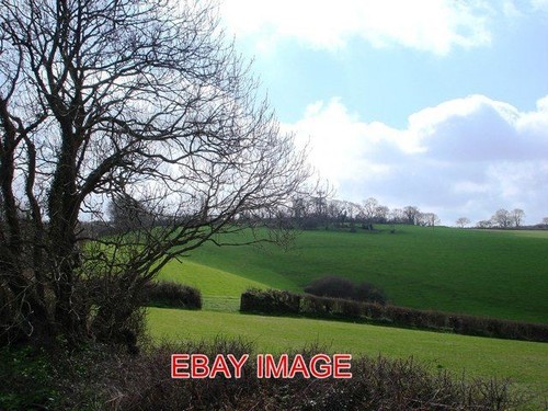 Photo trees and - and, land