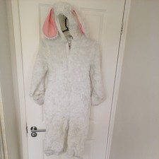 Easter Bunny White Rabbit