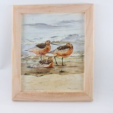 Vintage Godwits Bird Print