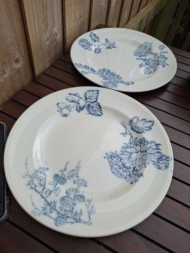 Wedgewood large china - large,